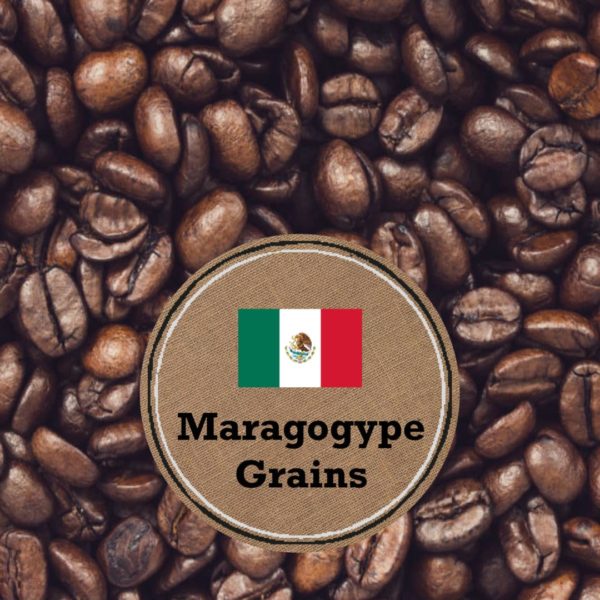 cafe grains6 - Café Maragogype Grains